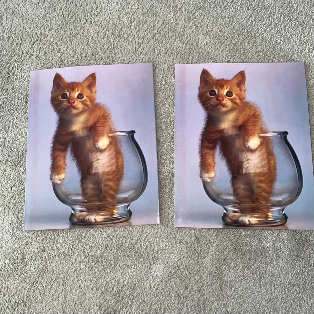 Vintage G.K. & Vikki Hart Photography Mead Portfolio Folder Cat Purrs &‎ Grrrs 2